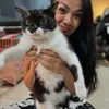 Nirina Zubir Pelihara Puluhan Kucing