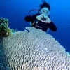 Paramitha Rusady perlihatkan simbol hati saat diving