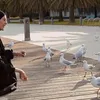Paula Verhoeven, kasih makan buruk di Australia