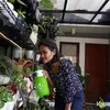 Rachmania Arunita