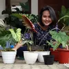 Rachmania Arunita