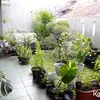 Rachmania Arunita