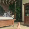 rumah seleb, rumah happy salma