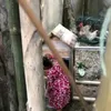 rumah seleb, rumah happy salma