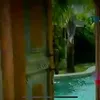 rumah seleb, rumah selebriti, rumah tia ivanka