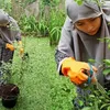seleb punya kebun, kebun seleb, kebun selebriti