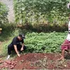 seleb punya kebun, kebun seleb, kebun selebriti