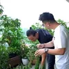 seleb punya kebun, kebun seleb, kebun selebriti
