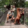 Franda - Samuel Zylgwyn Liburan ke Bali Zoo