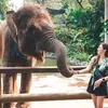 Franda - Samuel Zylgwyn Liburan ke Bali Zoo