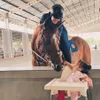 Zaskia Sungkar ajak anak ketemu Kuda-kudanya