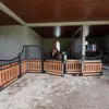 Tetap rawat kuda miliknya