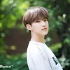Quotes K-Pop Idol