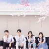  Drama China Kisah Kawin Kontrak