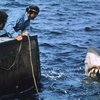 Steven Spielberg adalah orang yang sangat ambisius jika berkaitan dengan filmnya. tak heran jika hiu dalam film JAWS ini bukanlah CGI, melainkan asli! Tim produksi berupaya keras membuat robot hiu semirip mungkin dengan aslinya.