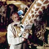 film hollywood, peran selebriti, fakta unik
