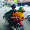 ojol, driver ojol, bawaan driver ojol