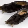 sepatu aneh, desain sepatu aneh, sepatu lucu, sepatu unik