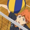 Hinata Shoyo