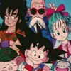 Master Roshi