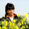 Dilwale Dulhania Le Jayenge