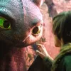 How to Train Your Dragon