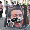 anjing, foto anjing, foto unik, foto lucu