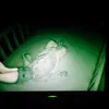 foto bayi, cctv, foto menakutkan, foto ngeri