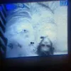 foto bayi, cctv, foto menakutkan, foto ngeri