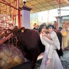 Fuji - Gala Sky Rayakan Idul Adha