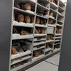 foto unik, foto aneh, foto lucu, foto keren