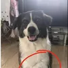 foto unik, foto aneh, foto lucu, foto keren