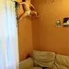 foto unik, foto aneh, foto lucu, foto keren, foto anak, foto lucu anak