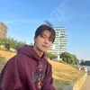 Dino SEVENTEEN