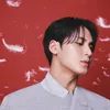 Mingyu SEVENTEEN X Vogue Korea