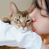 Idol K-Pop yang Sayang Hewan Peliharaan