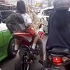 emak emak, power of emak, kelakuan emak