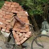 foto unik, foto aneh, foto lucu, foto keren