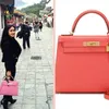 Fasion Cita Citata