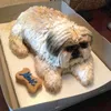kue unik, kue lucu, kue ultah lucu, kue ultah unik