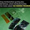 ras terlemah, meme lucu, meme ras terlemah, kumpulan meme ras terlemah