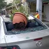 hari apes, apes, kejadian apes, foto unik, foto aneh, foto lucu