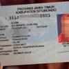 nama unik, nama lucu, nama aneh
