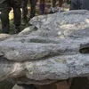 harta karun, penemuan harta karun, fakta unik