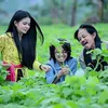 8 Pasangan Artis Beda Usia Lebih dari 20 Tahun