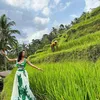 Pemotretan Indah Kalalo di Sawah