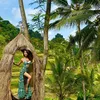 Pemotretan Indah Kalalo di Sawah