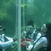Aaliyah Paskib di Dalam Air