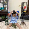 Abe Cekut Viral