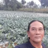 Artis yang Pilih Tinggalkan Dunia Hiburan